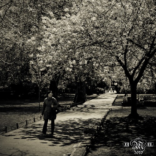 Dublin : Parc St Stephen's Green 2.