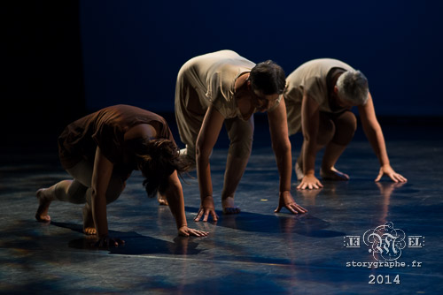 MM_Danse-DesPetitsPasPourLesGrands_HistoireDeGestes_010