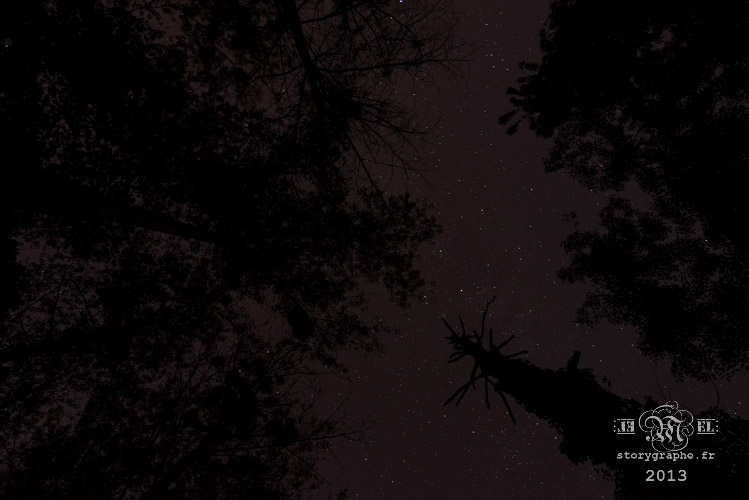 MiNuit Ma nuit_13-09-22