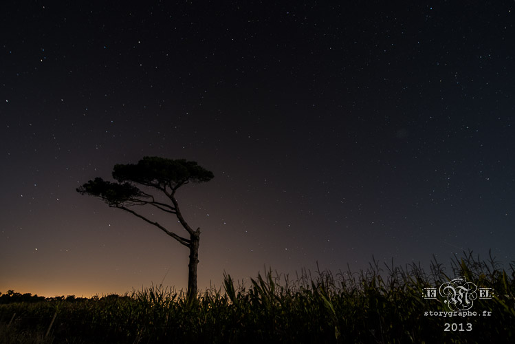 MiNuit Ma nuit_13-09-23