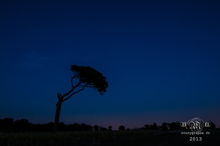 MiNuit Ma nuit_13-09-24