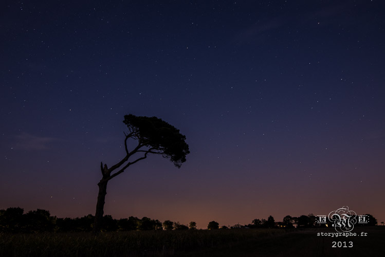 MiNuit Ma nuit_13-09-24
