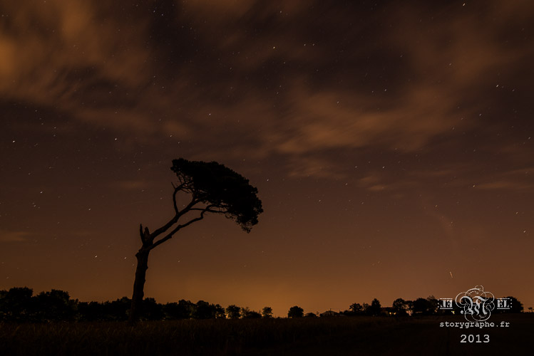 MiNuit Ma nuit_13-09-24