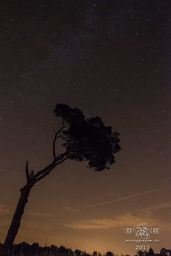 MiNuit Ma nuit_13-09-24
