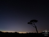 Mi nuit Ma nuit