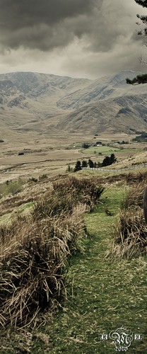 Sur la route du Connemara 6.