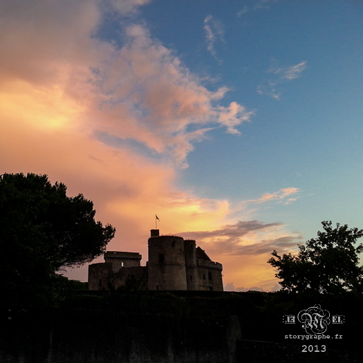 Lever du Roi le 29/07/13 ; [003].